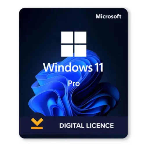 Windows 11 Professional
